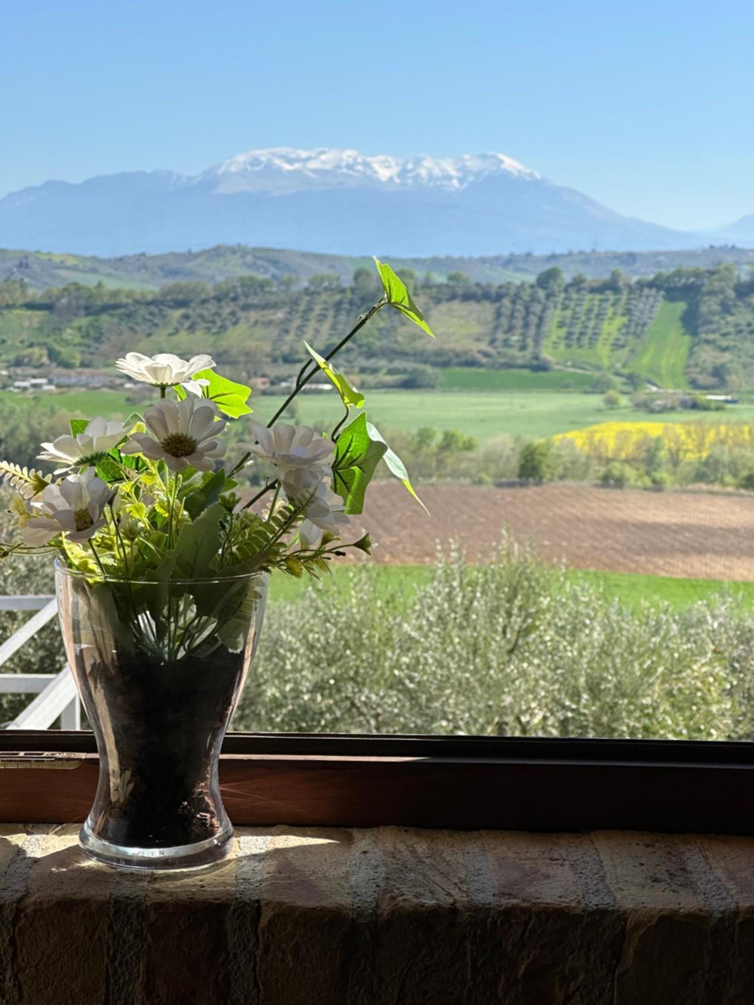 Il Podere Degli Asinelli Città Sant'Angelo Esterno foto