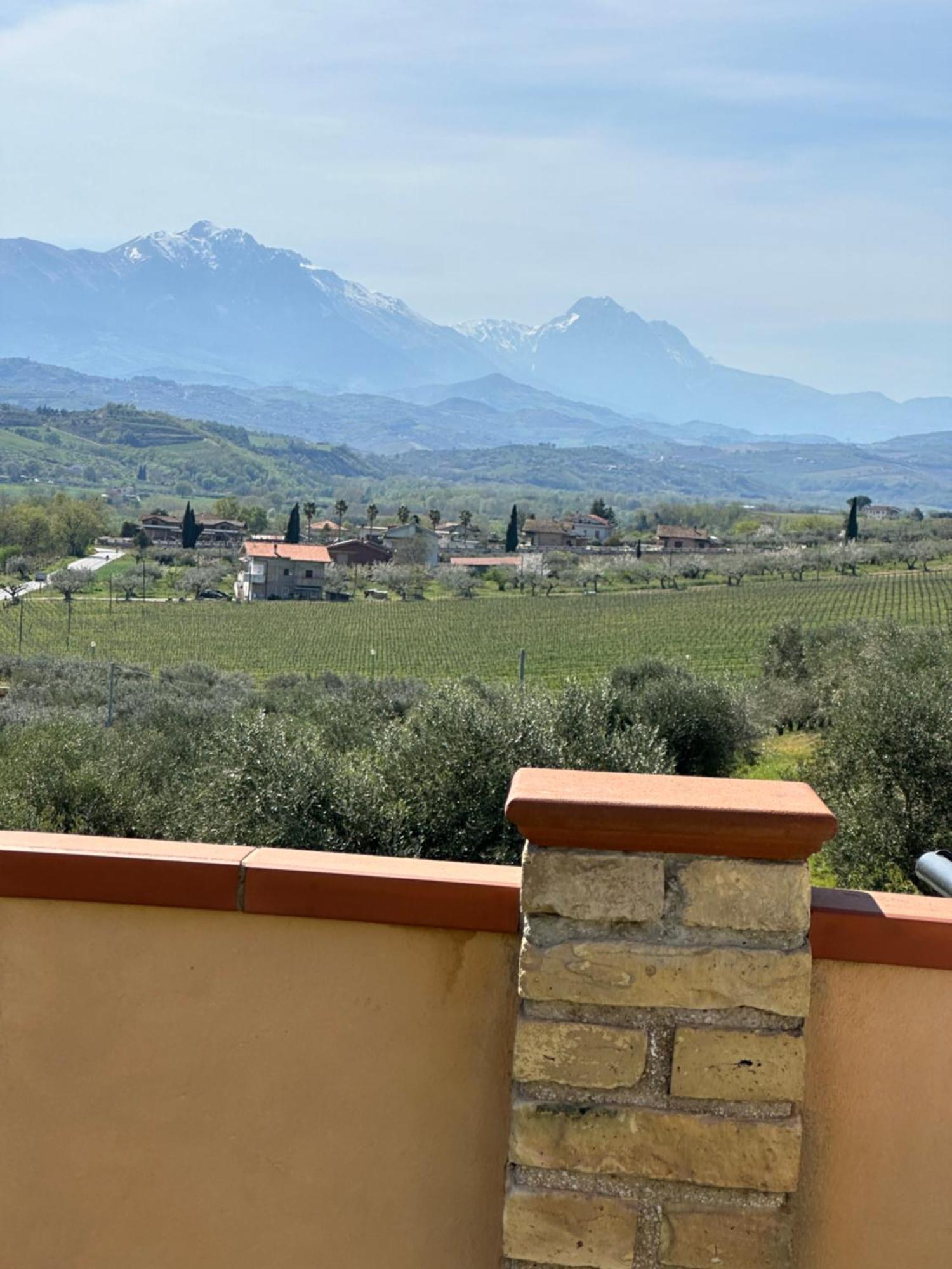 Il Podere Degli Asinelli Città Sant'Angelo Esterno foto
